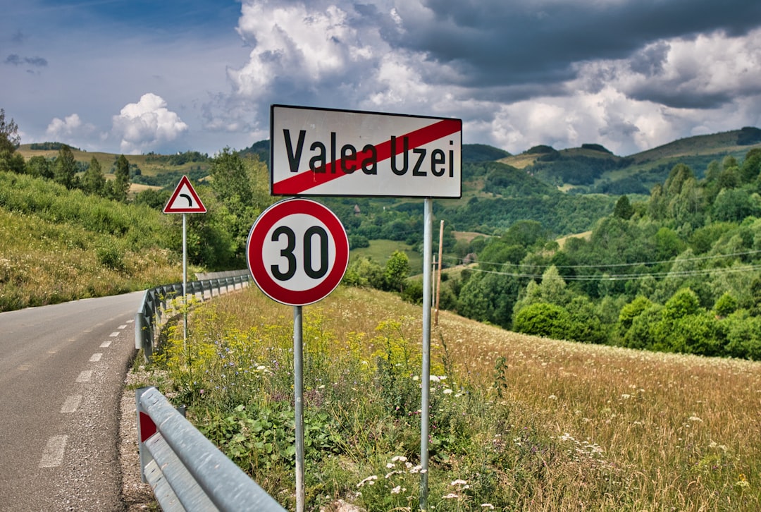 Valós Idejű Nyomkövetés